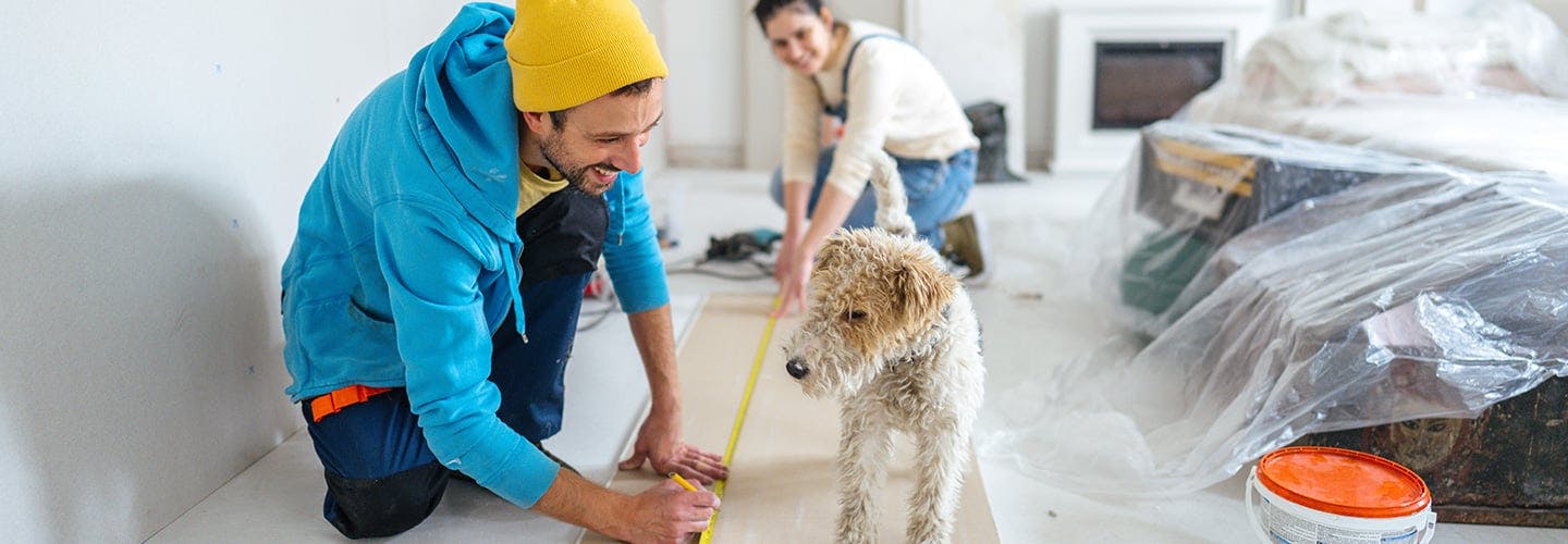 a couple working on a home renovation project while their dog looks on